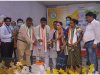 बिजली महोत्सव मनाया गया