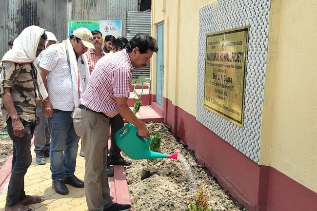 कुनुस्तोड़िया क्षेत्र की नारायणकुड़ी परियोजना कार्यालय परिसर में पौधारोपण