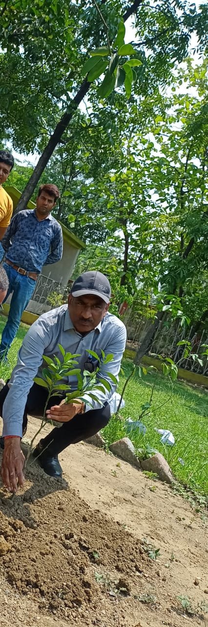 कुनुस्तोड़िया क्षेत्र में धूमधाम से मना विश्व पर्यावरण दिवस 