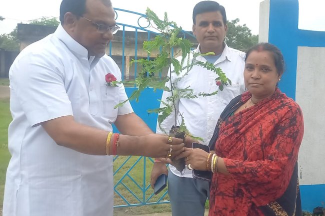 दुर्गापुर में वनमहोत्सव का आयोजन